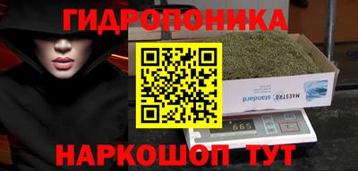 ГАЛЛЮЦИНОГЕННЫЕ ГРИБЫ Тулун