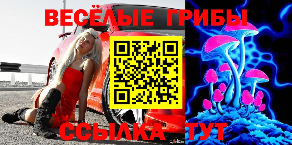 Алексин  Псилоцибиновые грибы Magic Shrooms  Вход с VPN 