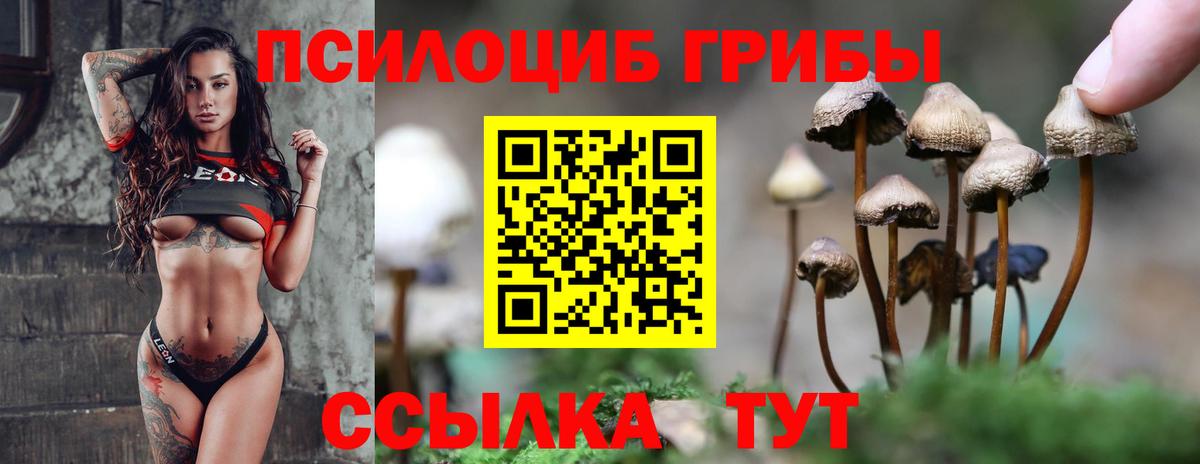 Галлюциногенные грибы Psilocybine cubensis Алексин